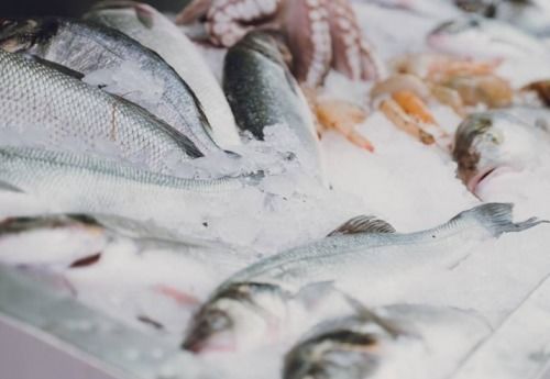 互联网+集中监管仓 这家公司为大湾区筑牢进口冷链食品安全防线